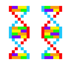 Файл:DNA.png
