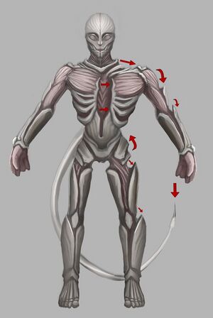 Changeling final by MiC.jpg