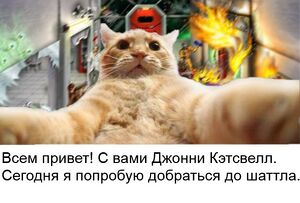 Johnny CatsvilI by Kopistko.jpg