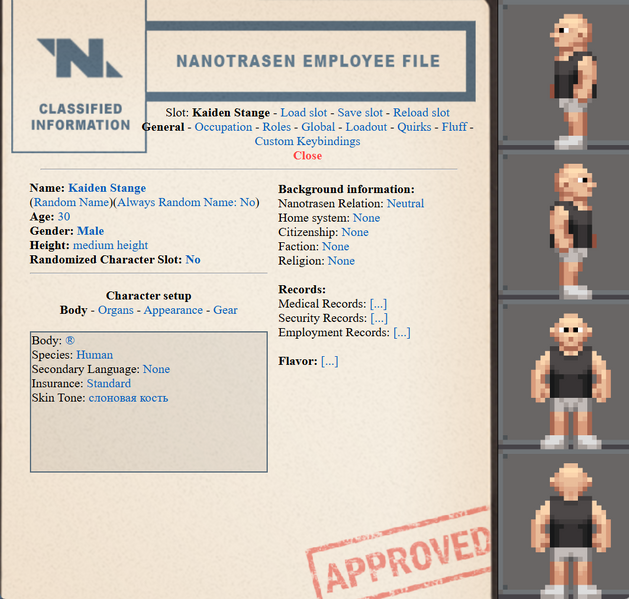 Файл:CharacterSetup.png