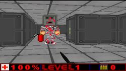 SS 13 doom edition.jpg